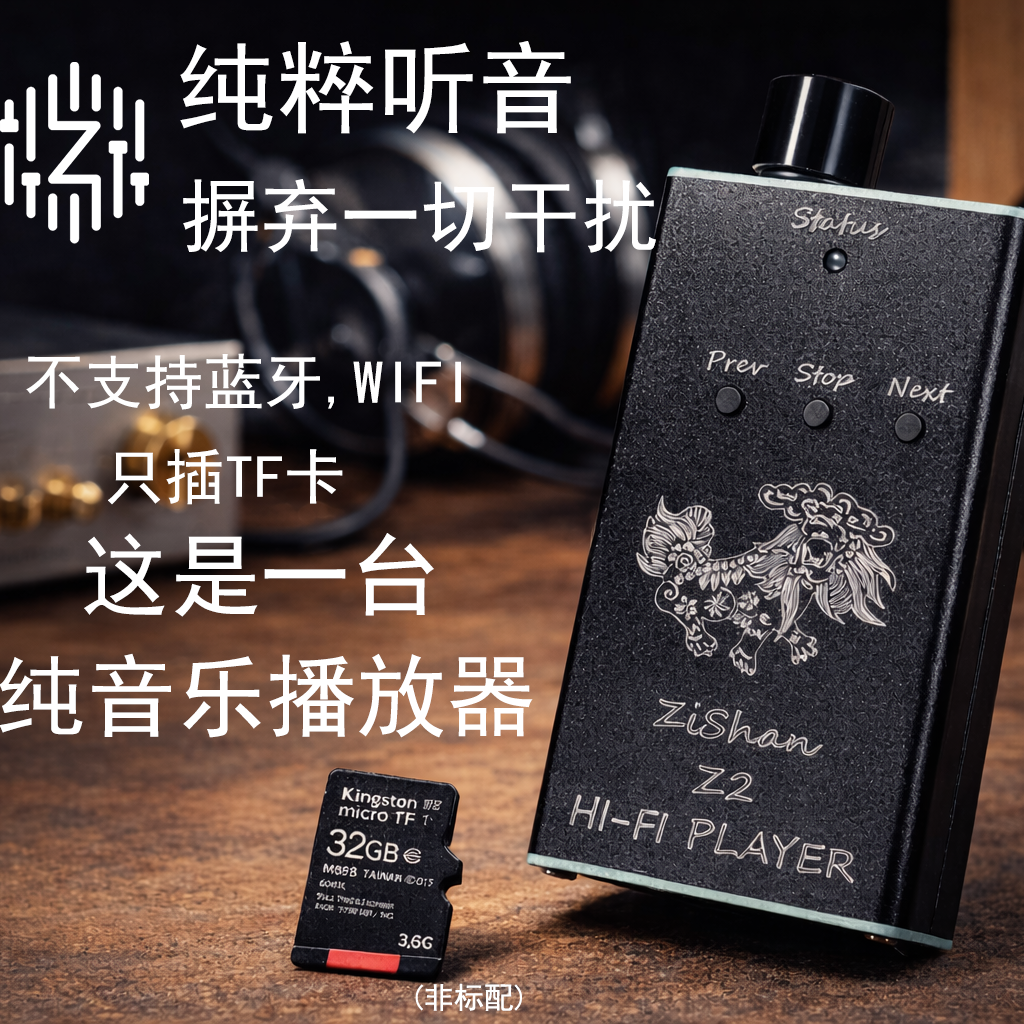 Zishan Z2 HiFi DSD Hard Soluti – Diy Electronics Audio recenzja i cena