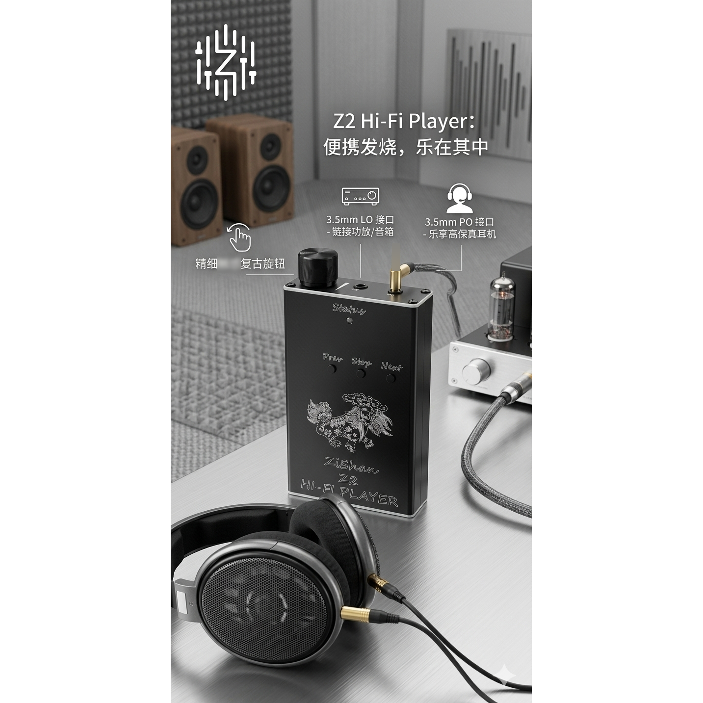 Zishan Z2 HiFi DSD Hard Soluti – Diy Electronics Audio recenzja i cena